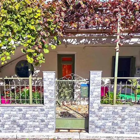 Simotas 4 Four * Pórosz