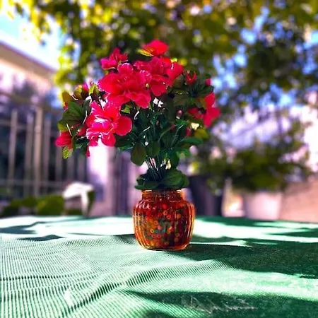 Simotas 4 Four * Pórosz